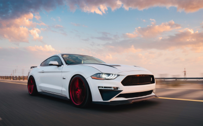 Diseño sin título (51)